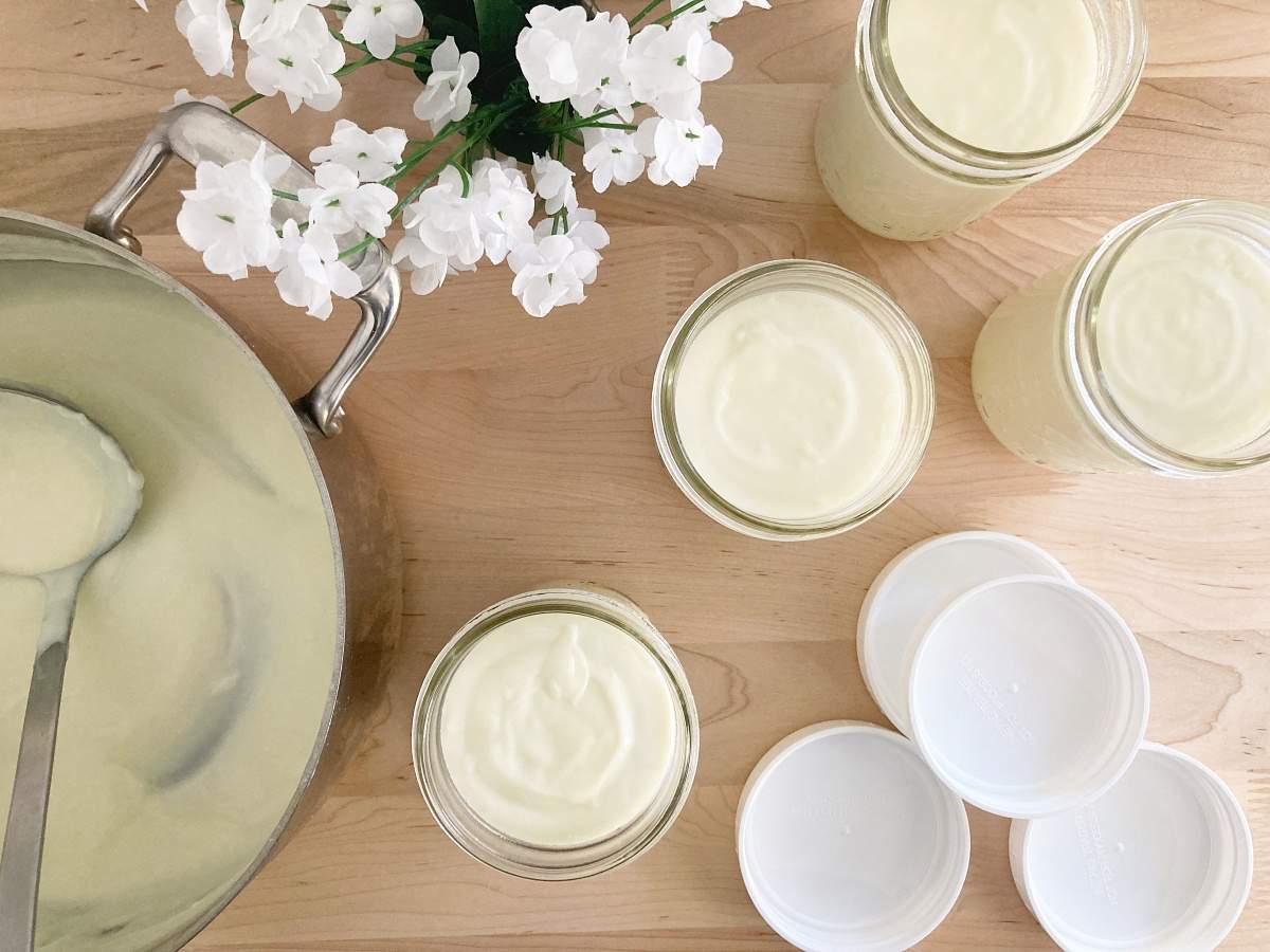 Bechamel White Sauce (Large Quantity Batch)