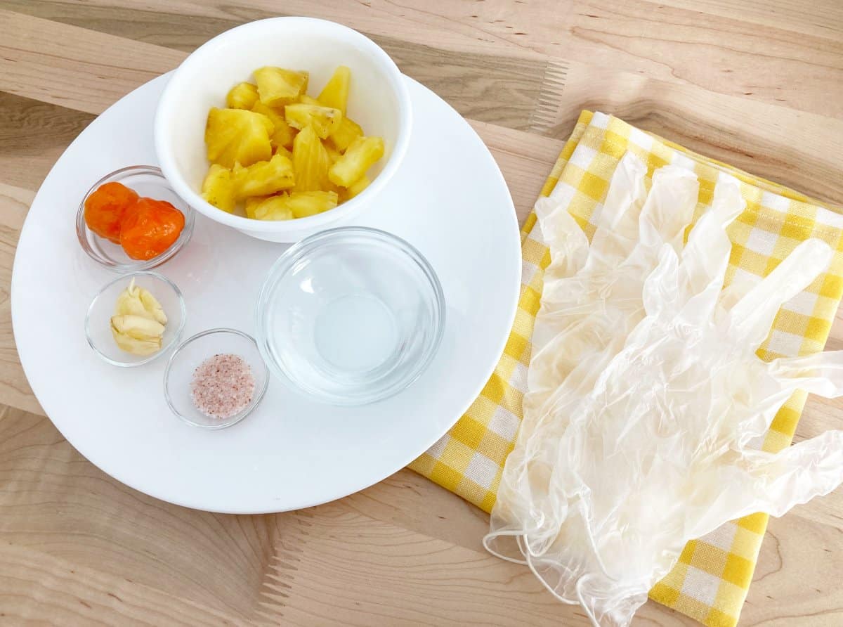 All ingredients on a white plate. Fresh pineapples, orange habanero peppers, garlic, salt, and vinegar. Next to yellow white checkered towel and disposable gloves.