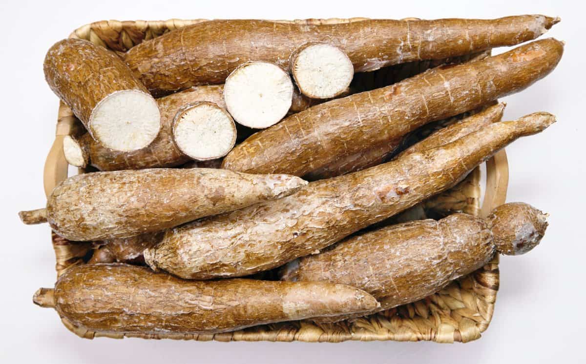 A number fresh uncooked cassava or yuca in a square straw basket.