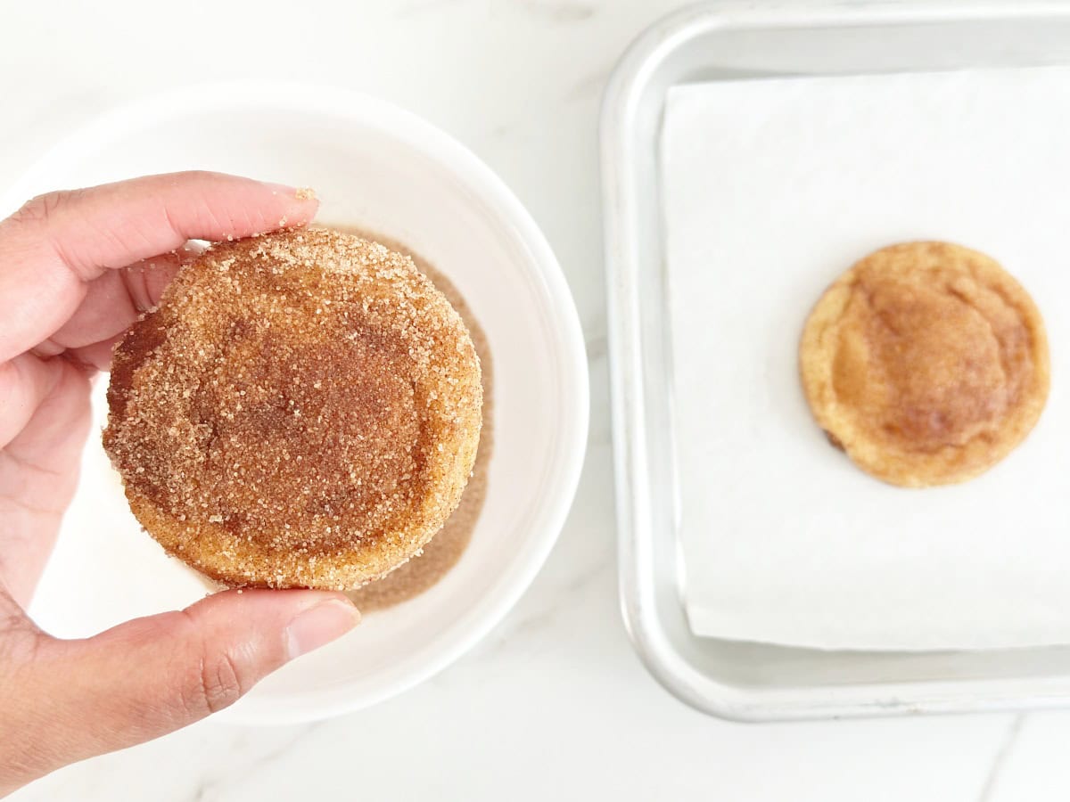 Down view of hand holding snickerdoodle cookie tossed with extra cinnamon sugar.