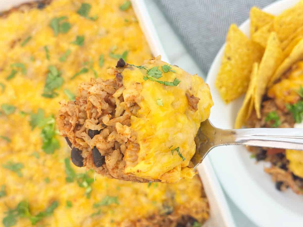 Down view cheesy chicken taco rice casserole on silver serving spoon.