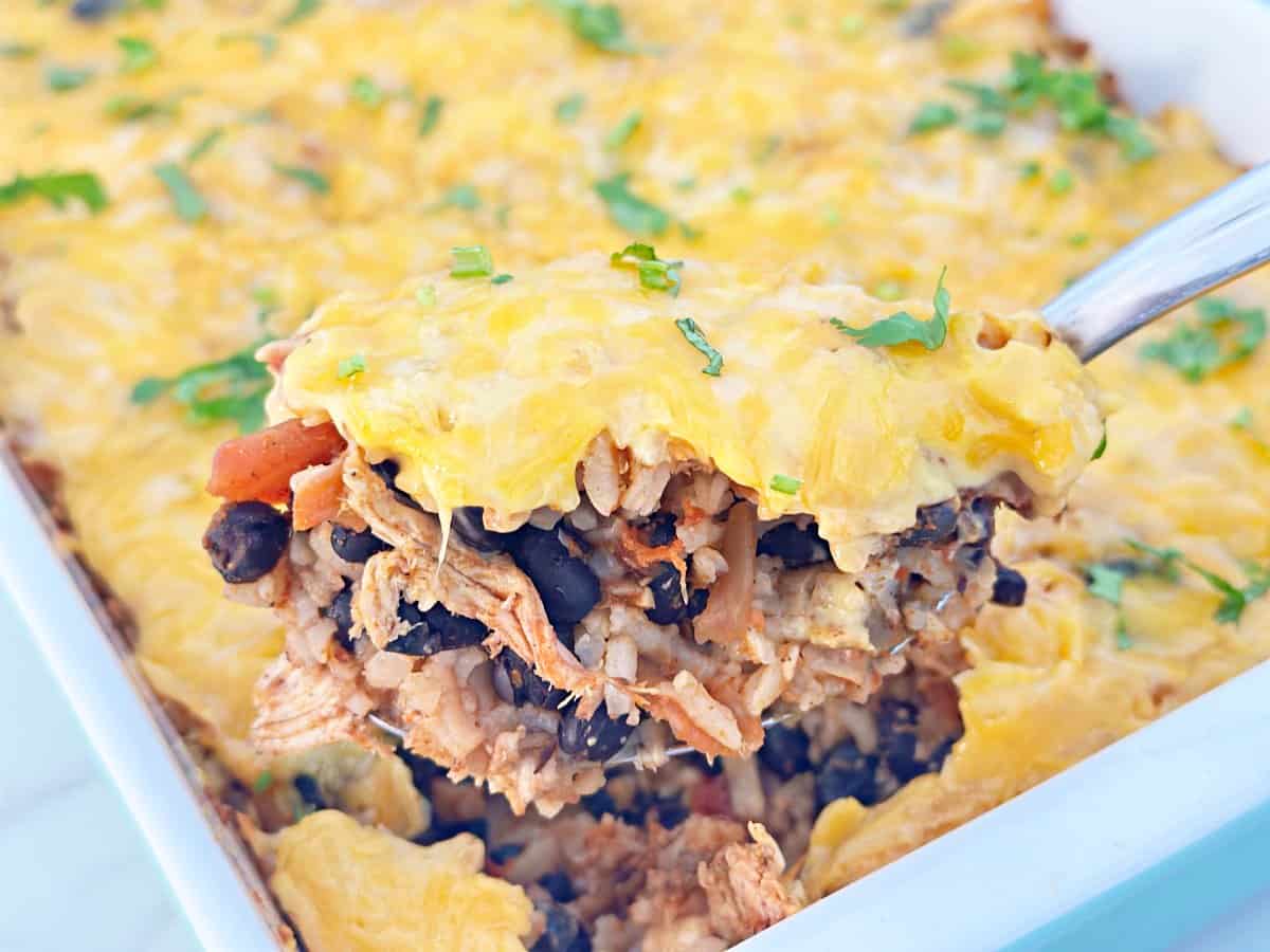 Serving spoon holding chicken taco rice casserole.