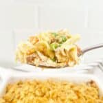 Side view serving spoon holding a portion chicken noodle casserole with ritz cracker topping.
